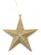 Golden christmas star