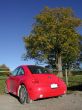 red new beetle