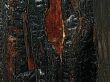black wood