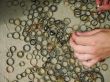 hands and rings