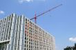 Red Crane and Steel