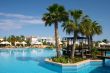 palm tree in pool