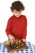 Adorable boy playing the chess