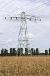 power pylon in wheat