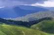 cameron tea plantations