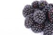 blackberries with copyspace