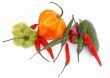 chili mix isolated