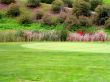 Golf Course Design