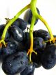 dark black juicy grapes