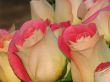 several tea pink rose bouquette fragment