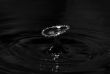 Splash