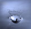 Splash