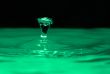 Splash