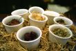 Chinese herbs