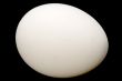 Egg on black