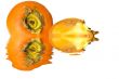 Fruit_persimmon