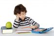 Adorable boy studying