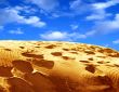 Sand and sky