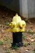 Yellow fire Hydrant