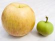 apples