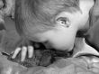 boy with a bunny