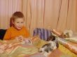 boy with bunnies