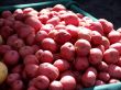 Red Potatoes