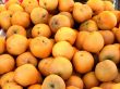Asian Pears