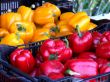 Yellow and Red Bell Peppers