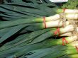 Leeks