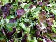 Baby Greens