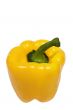 Yellow Pepper w/ Path - Top View