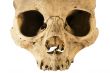 Skull w/ Clipping Path - Front View