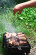 Steaks on Barbecue