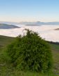 Sunrise over the fog