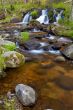 Wild river