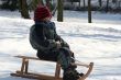  sledging