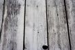 boards