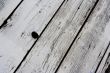 boards