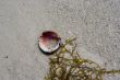 BEACH ABSTRACT