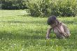 Little girl in meadow