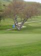 Cart Path to Number 9