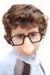 adorable boy with glasses and nose of toy