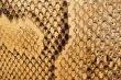 Textures &ndash; Snakeskin 2