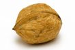 Single Walnut
