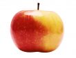 Red-Yellow Apple w/ Path - Side View