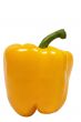 Yellow Pepper w/ Path - Side View