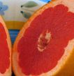 Nutritious foods and fruits