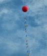 Balloon in the sky