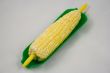 Sweet corn waiting